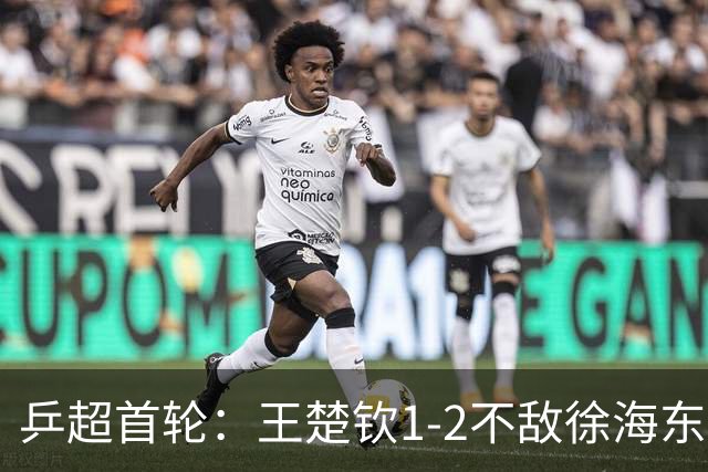 乒超首轮：王楚钦1-2不敌徐海东，所在的山东魏桥8-6山东鲁能