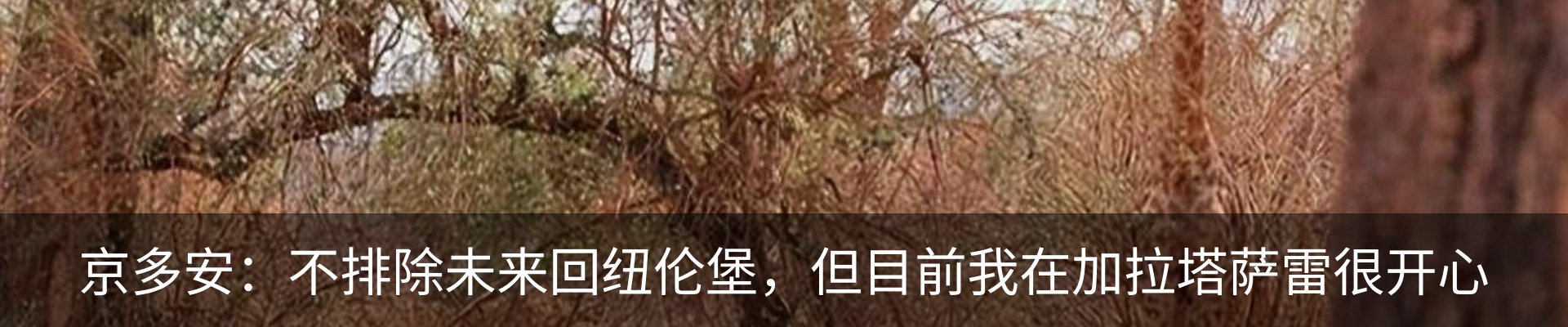 资讯中心